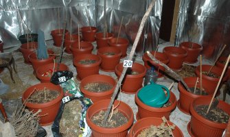 Na Cetinju otkrivena laboratorija za proizvodnju marihuane (FOTO)