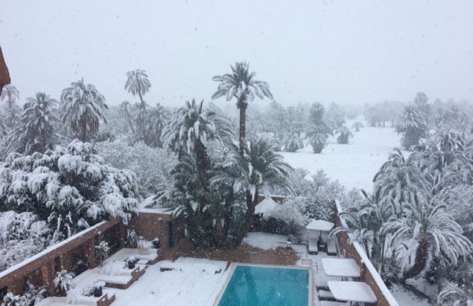 Snijeg u Maroku prvi put nakon 50 godina, palme u bjelini (VIDEO)