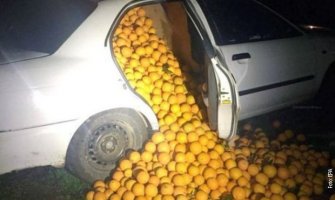 Španija: Ukrali 4 tone pomorandži, policiji rekli da su za njihove potrebe