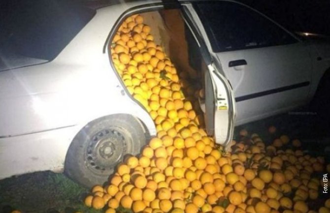 Španija: Ukrali 4 tone pomorandži, policiji rekli da su za njihove potrebe