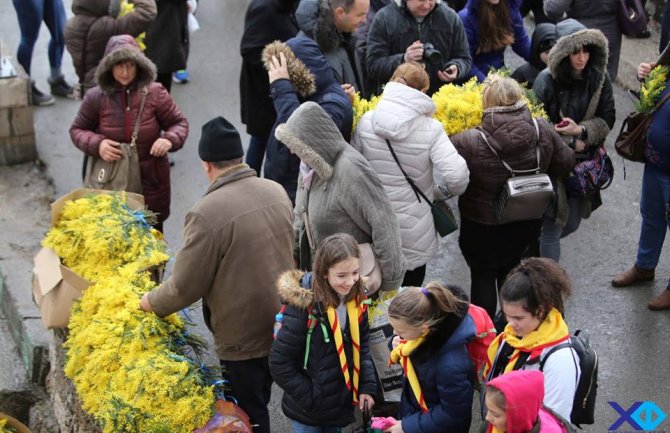 Novski đardin: Tradicionalna izložba cvijeća od petka
