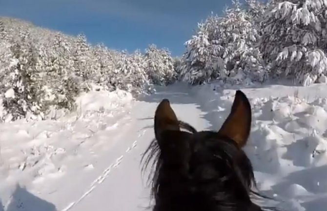 Zimska idila iz perspektive konjanika (VIDEO)