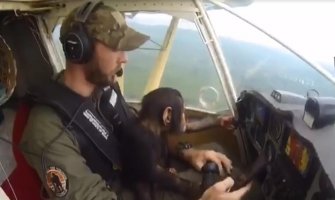 Majmun pomaže pilotu u upravljanju nakon što ga je spasio od lovokradica (VIDEO)