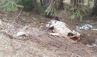 Još jedan ekološki incident: Mrtva krava na putu Rožaje-Petnjica(FOTO)