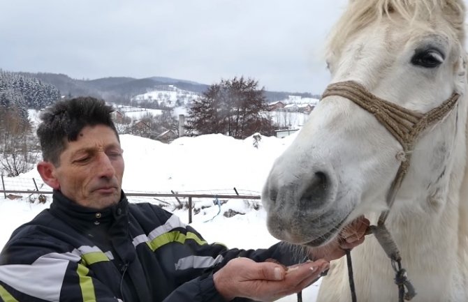 Konj Zekan najviše voli da jede bosanske ćevape (VIDEO)