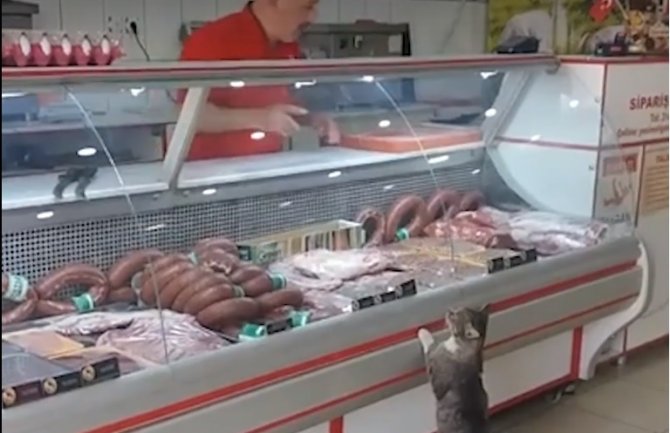 Mačka pošla u nabavku: Mesar joj nudio meso, a ona pokazala najbolje parče (VIDEO)