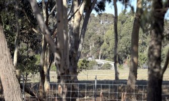 Na imanju u Australiji ubijeno sedmoro ljudi
