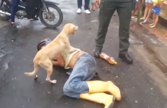  Vlasnik se onesvijestio od alkohola,  pas ga čuvao od svih (VIDEO)