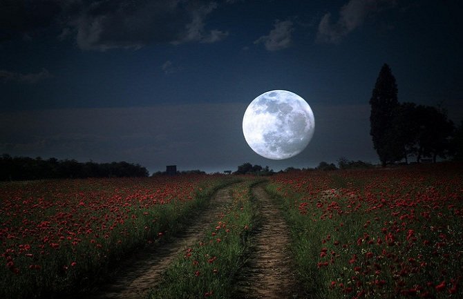 Večeras nam dolazi Cvjetni Mjesec: Uradite OVO kako bi vas pratila sreća
