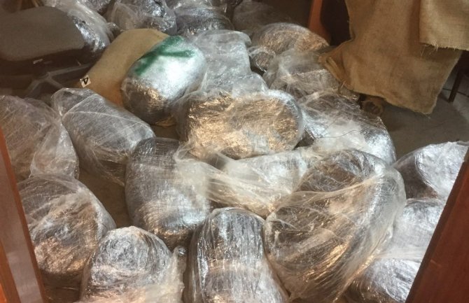 Pronađeno 120 kilograma skanka u džakovima sakrivenim u šiblju(FOTO)
