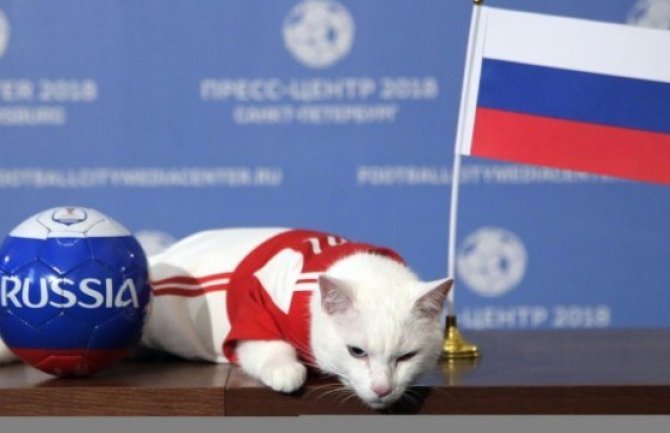 Različite prognoze za prvu utakmicu SP: Mačak bira Rusiju, lemur Saudijsku Arabiju