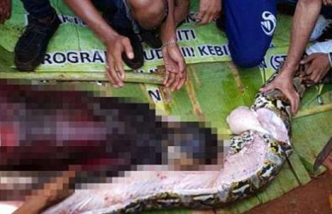 Džinovski piton progutao ženu u Indoneziji (VIDEO)