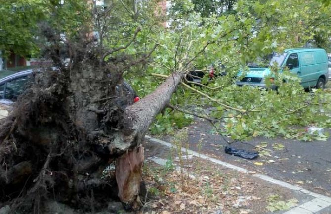 Poljska: U jakoj ljetnjoj oluji poginuo zamjenik gradonačelnika, ubila ga grana od drveta
