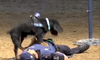 Nevjerovatno: Pas dresiran da vrši reanimaciju (VIDEO)