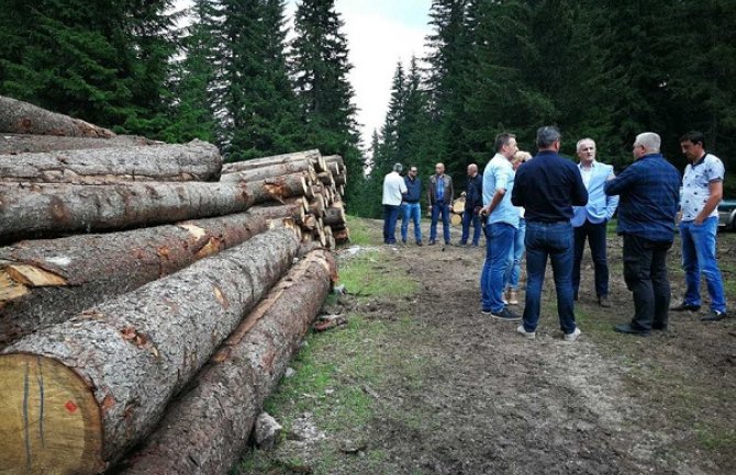Pilot projekat u cilju uspostavljanja novog modela korišćenja šuma