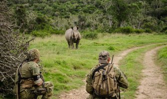 Lavovi rastrgli grupu lovaca na nosoroge