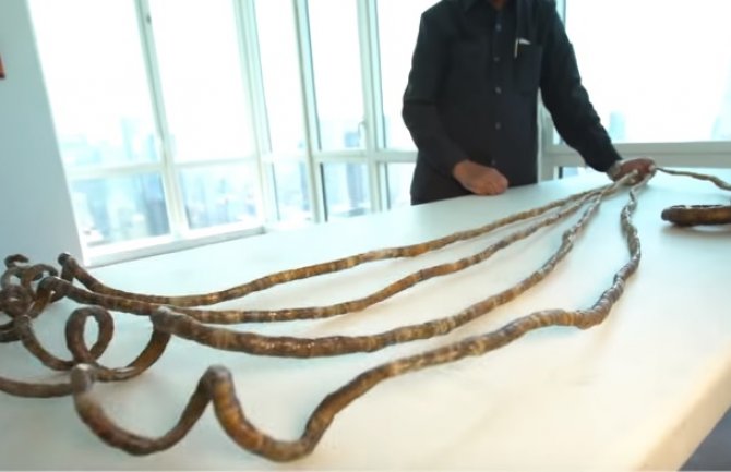 Odsjekao nokte brusilicom poslije 66 godina i poklonio ih muzeju(VIDEO)