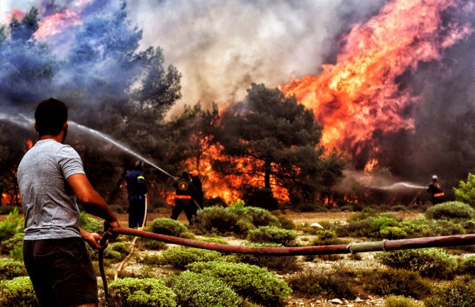 Apokaliptični prizori iz Grčke: Zašto je stradalo toliko ljudi u jednoj evropskoj državi? (FOTO)