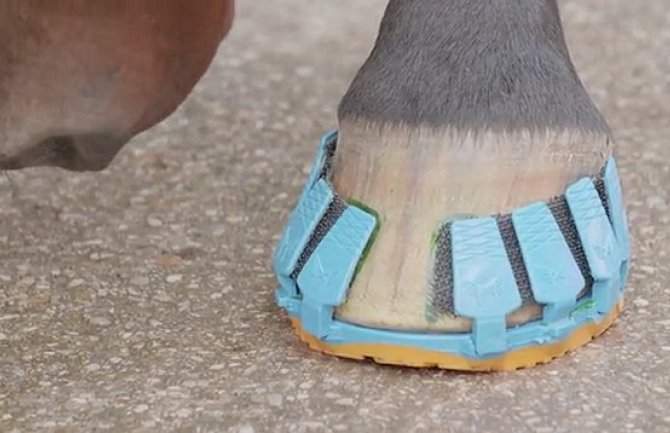 Plastične potkovice za konje da bi se smanjila šteta na ulicama