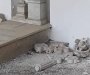 Cetinjski manastir: Uništeni grobovi dinastije Petrović-Njegoš