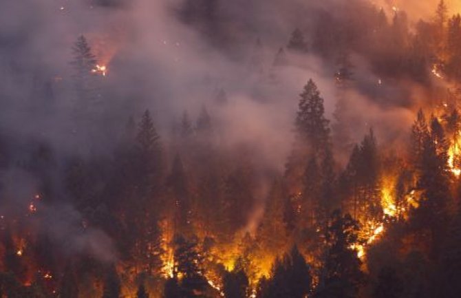 Vatrena stihija u SAD: Broj aktivnih požara prešao 100