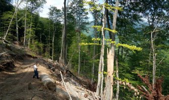 Zbogom šume crnogorske