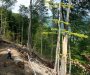 Zbogom šume crnogorske