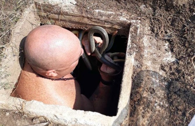 Srbija: U rezervoaru za vodu pronašli leglo zmija (VIDEO)