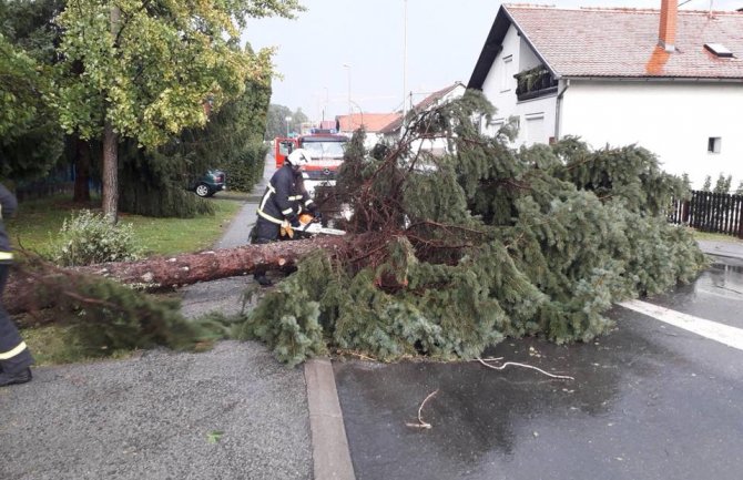 Dijelovi Hrvatske pogođeni nevremenom: Vjetar oborio stabla, grad usjeve(FOTO)