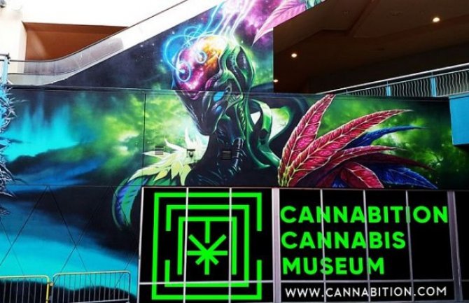 Otvoren muzej marihuane u Las Vegasu (VIDEO)
