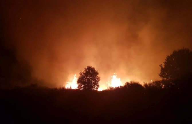 Veliki požar prijetio selu Brkanovići, vatra se primakla na 300 metara selu, i mještani gasili