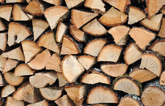 Metar drva u Albaniji 120 eura, zabranjen izvoz trupaca iz crnogorskih državnih šuma 