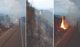 U Donjem Grblju izbio veliki šumski požar
