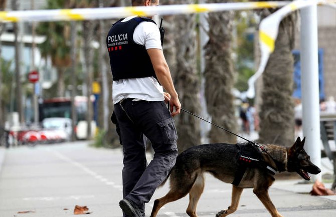Španija: Uhapšeno 15 osoba, zaplijenjeno više od pet tona kokaina