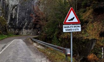 BiH prva zemlja na svijetu sa saobraćajnim znakom upozorenja na šišmiše