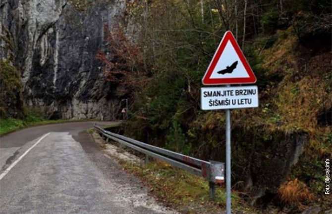 BiH prva zemlja na svijetu sa saobraćajnim znakom upozorenja na šišmiše