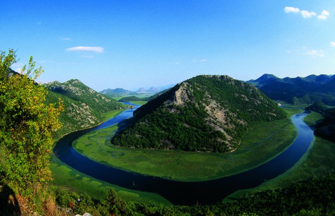 NPCG: NP Skadarsko jezero se razlikuje od drugih zaštićenih područja u Crnoj Gori