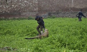 Leopard ušao u naselje i napao čovjeka, borba trajala četiri sata (VIDEO)