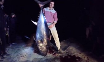 Ulovljena tuna teška 73 kg u Ulcinju