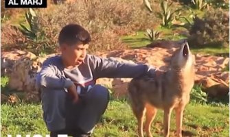 Dječak pripitomio bebu vuka (VIDEO)
