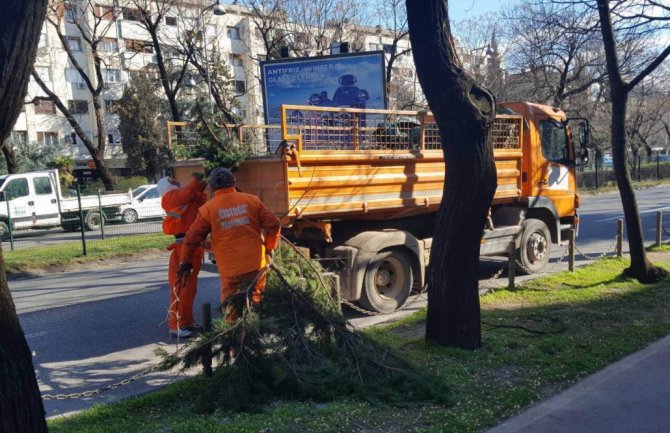 Podgorica: Službe od ponoći na terenu, građani da ne parkiraju vozila pored stabala drveća i stubova javne rasvjete
