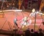 Publika bila šokirana: Zabavljača tokom predstave napao lav (VIDEO)