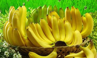 Uništeno 19.591 kilogram banana zbog pesticida
