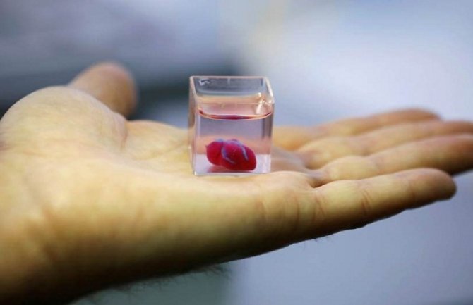 Predstavljeno 3D štampano srce s ljudskim tkivom i krvnim sudovima