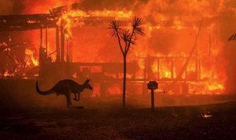 U Australiji preko 400 umrlih od posljedica dima zbog šumskih požara