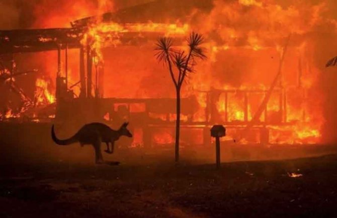 U Australiji preko 400 umrlih od posljedica dima zbog šumskih požara