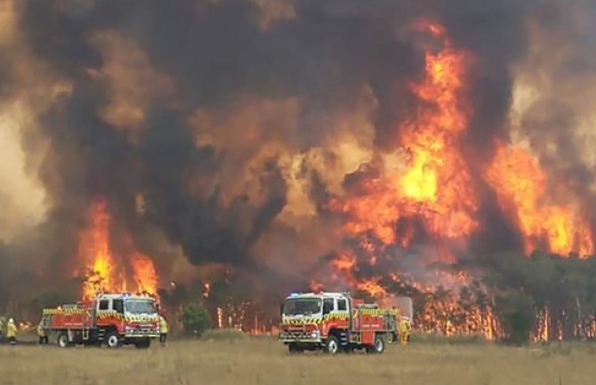 Požari bi mogli koštati australijski turizam 3,1 milijardu dolara
