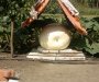 Srbija: Kikinđanin uzgojio najveću tikvu na svijetu