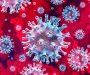 Nova teorija o nastanku koronavirusa: Covid-19 nastao par mjeseci prije Vuhana