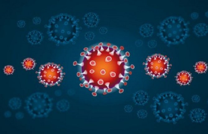 Naučnici otkrili veliki broj sojeva koronavirusa,  najagresivnije vrste se šire Evropom i Njujorkom